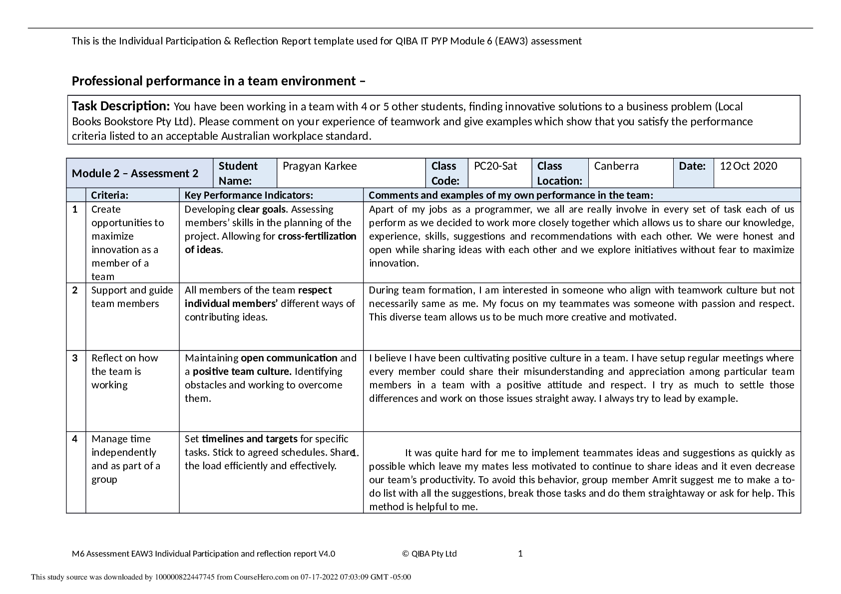 Preview image for Professional performance in a team environment